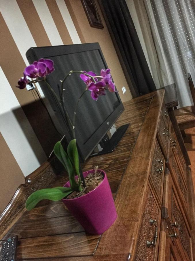 Hotel Oaza Konjic Ngoại thất bức ảnh